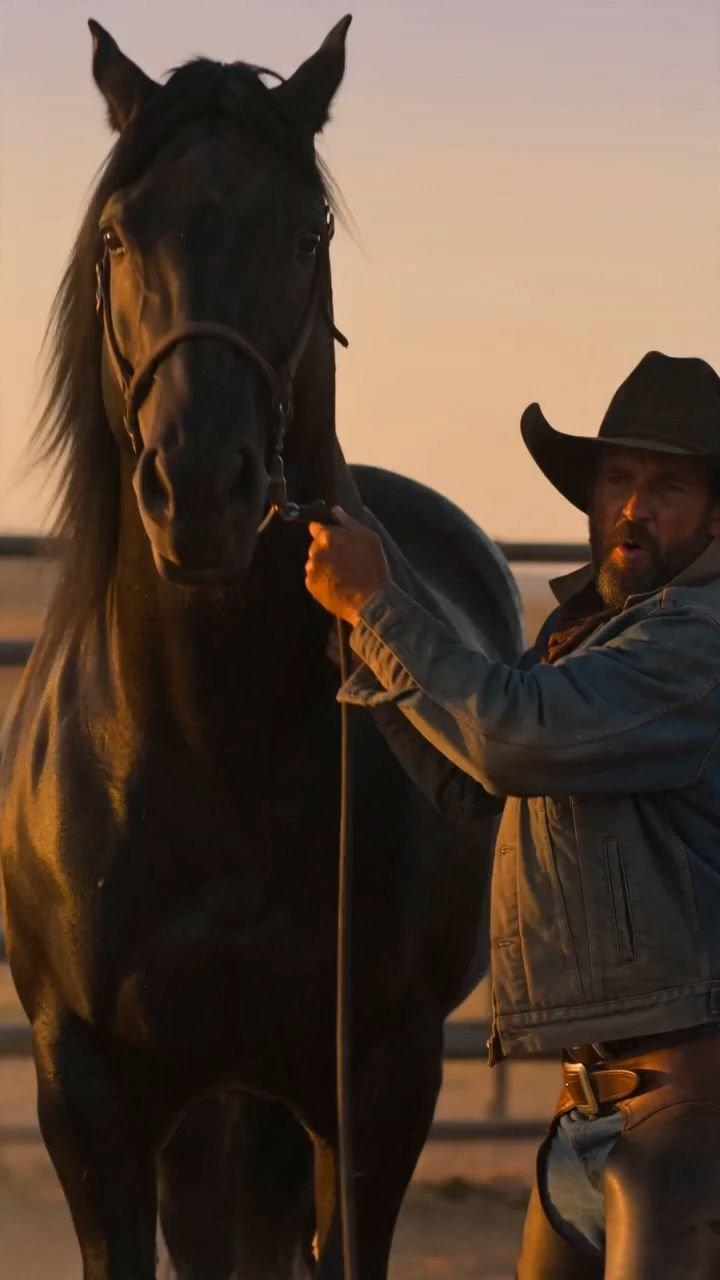 The Little Girl Knew the Million-Dollar Horse’s Secret